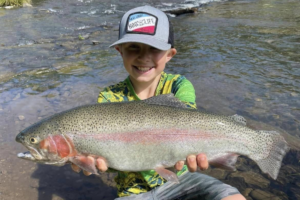 spin cast, rainbow trout fishing