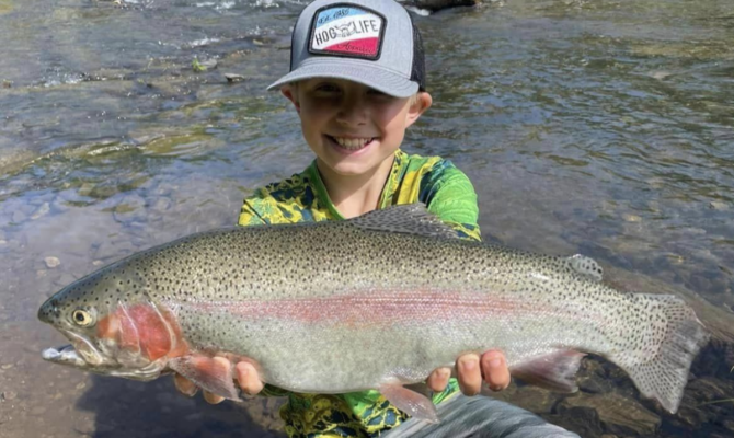 spin cast, rainbow trout fishing